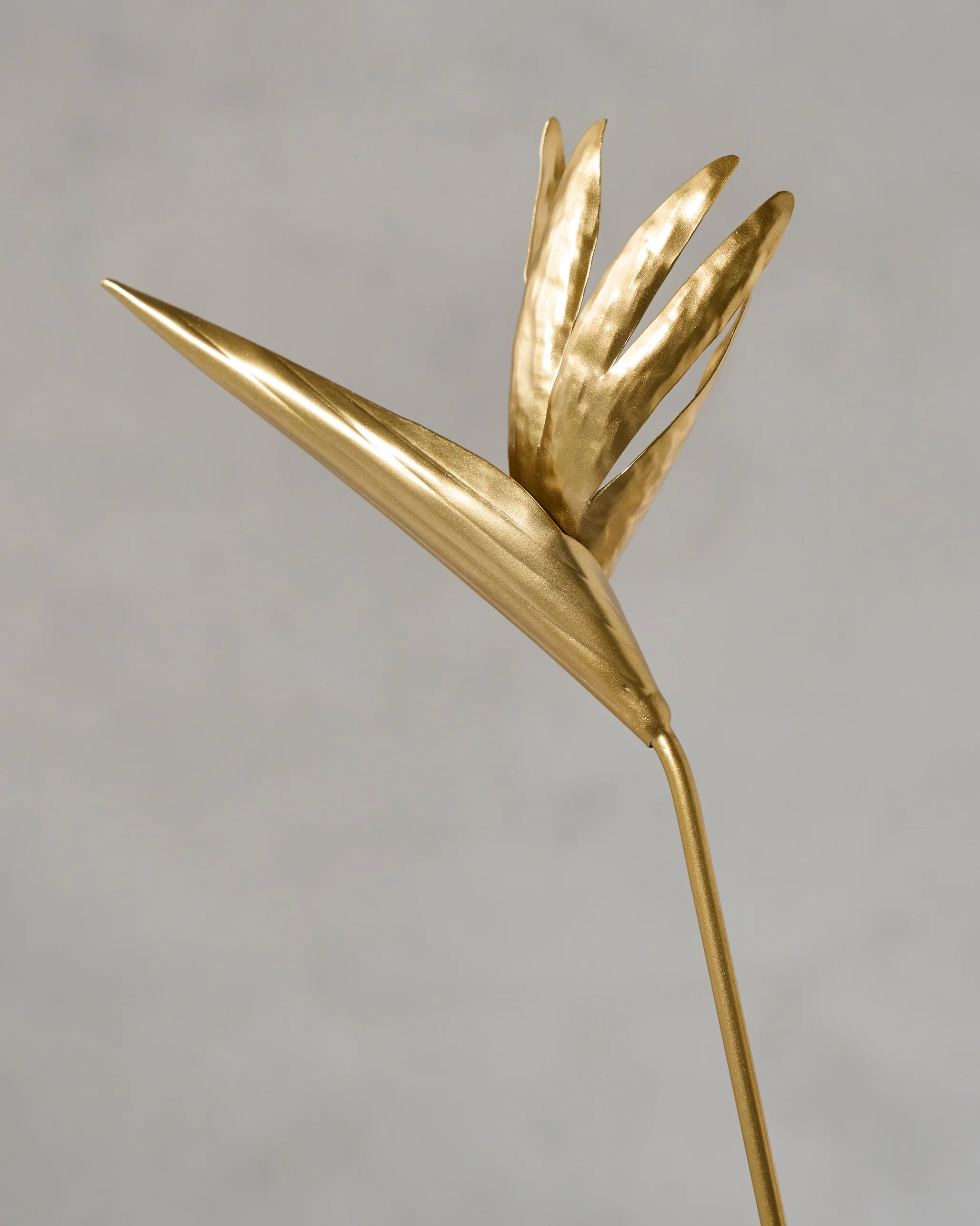 Bird of Paradise Home Accent - Gold