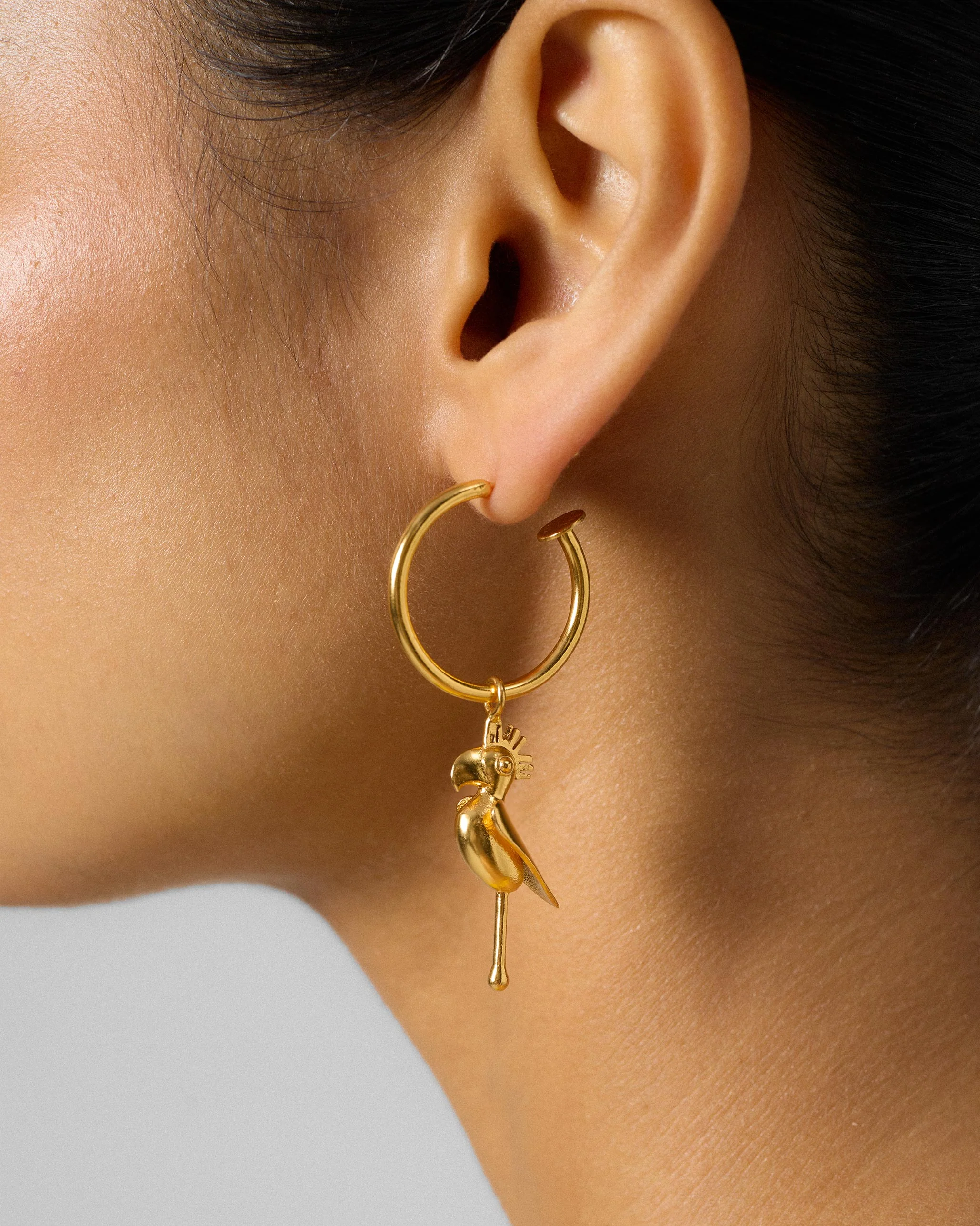 Tota Balis - Gold